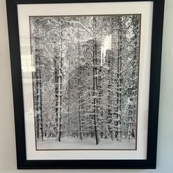Framed Ansel Adams Print – 2x3 ft Black & White Snowy Forest Scene
