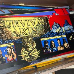 Sammy Survival Arts Arcade Marquee 