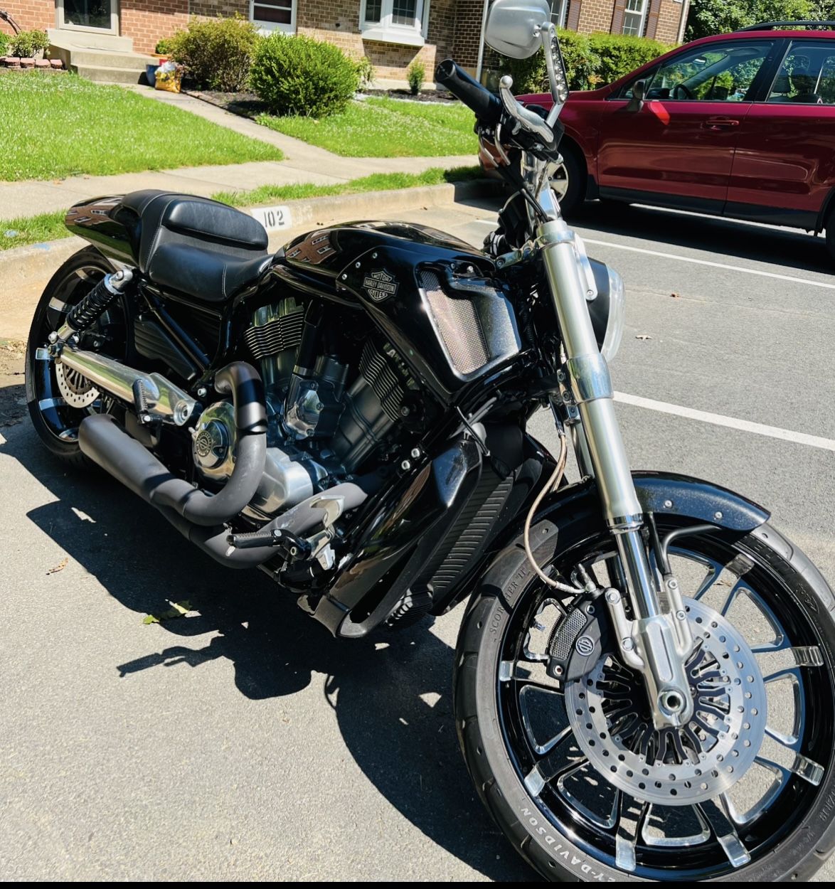 2015 Haley Davidson V rod Muscle