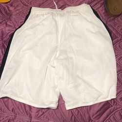 Nike Men’s Size Large Shorts New With Tag