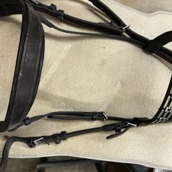 Bridle