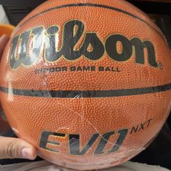 Wilson Evo Next Basketball