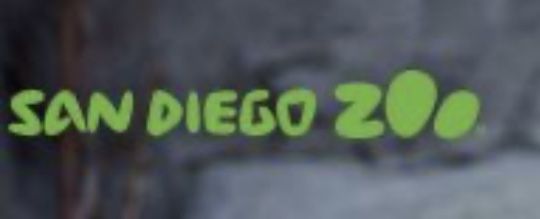 SAN DIEGO ZOO TICKETS **HALF OFF** anyday