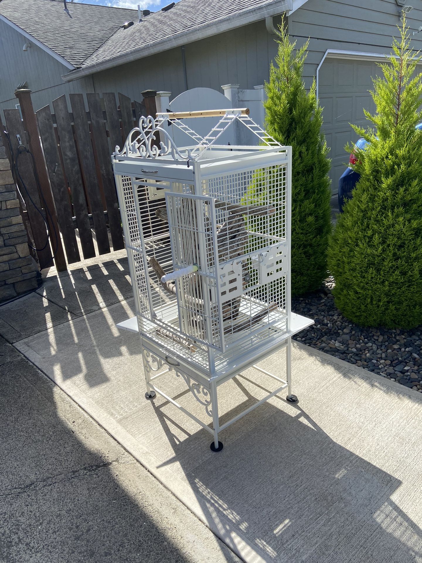 Bird Cage