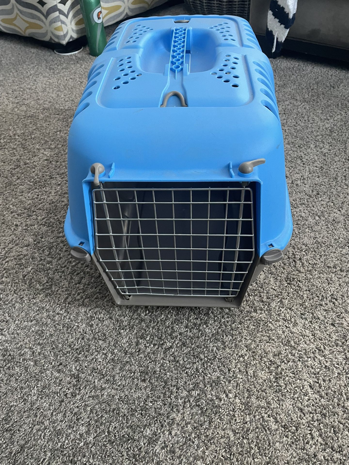 Dog Kennel