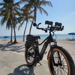 Electric Bike With Dual Batteries