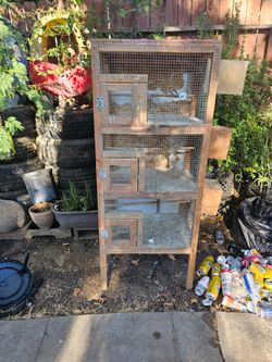 Bird Cage