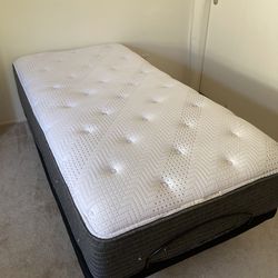 Adjustable Twin Bed, Almost New, With Remote $600