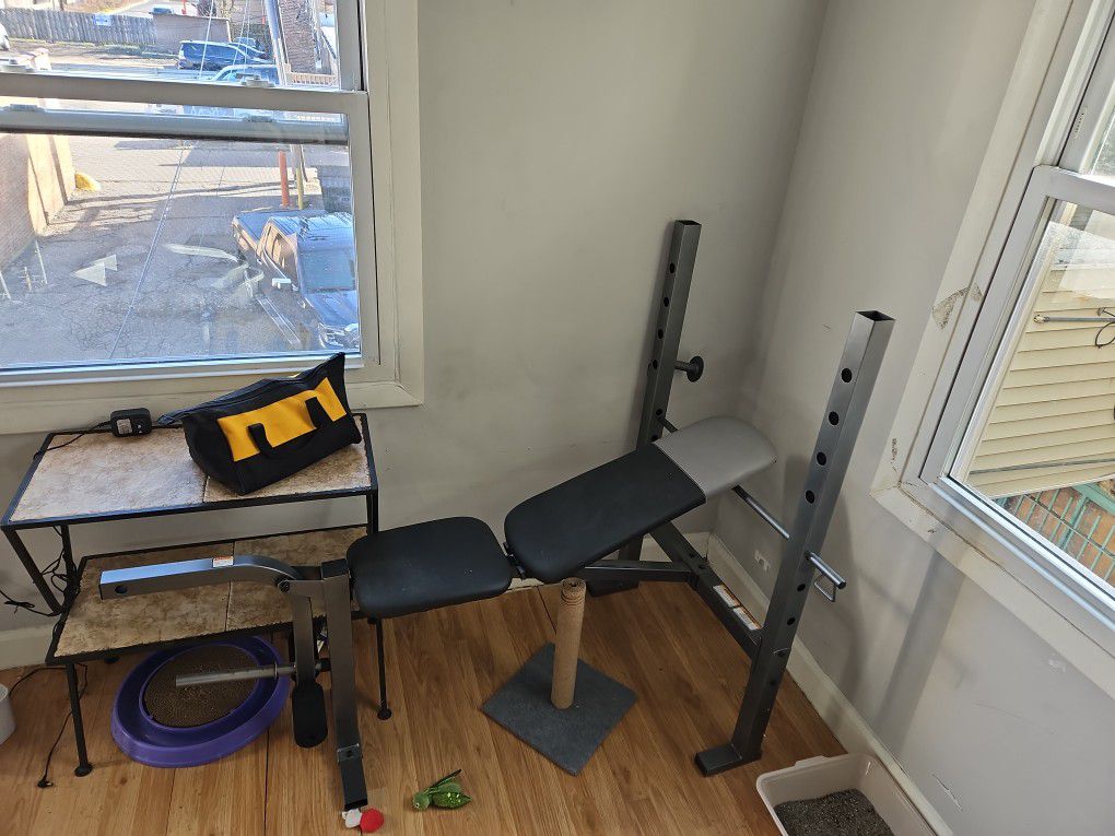Adjustable Bench Set With Bar And Weights
