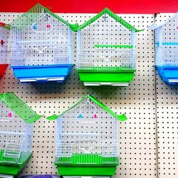 Birds Cages