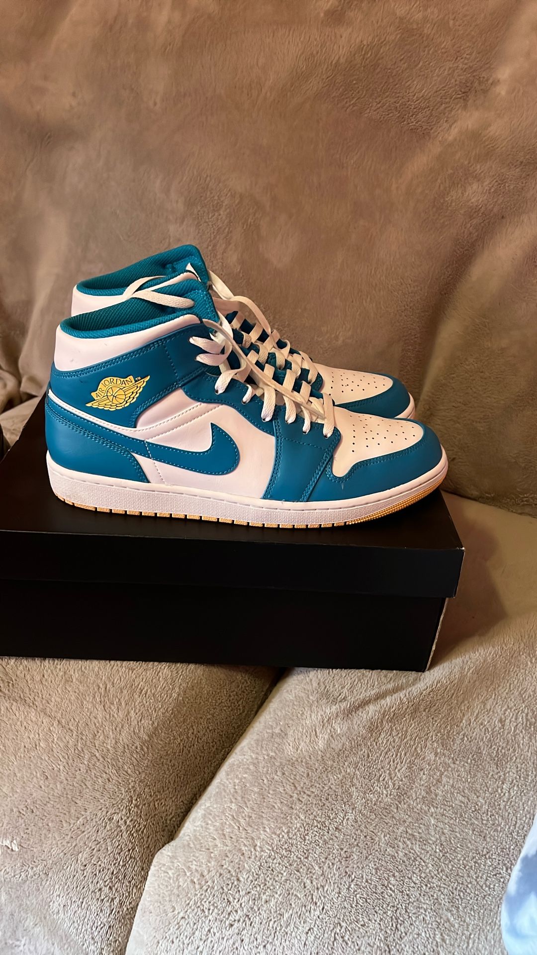 Air Jordan Shoes Size 12
