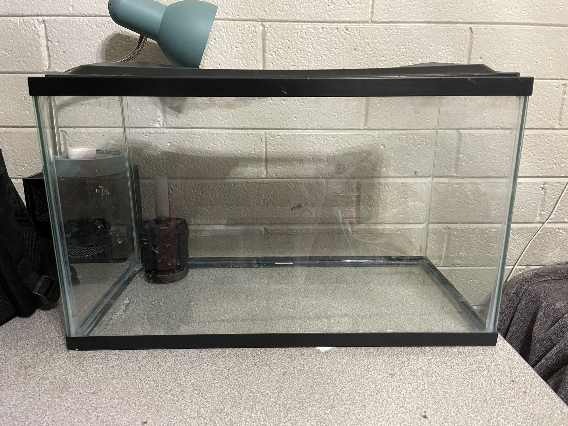 10 gallon fish tank