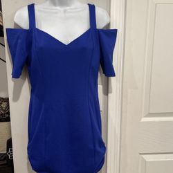Royal Blue Dress 