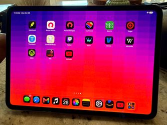iPad Pro 11 M4 256 Cellular