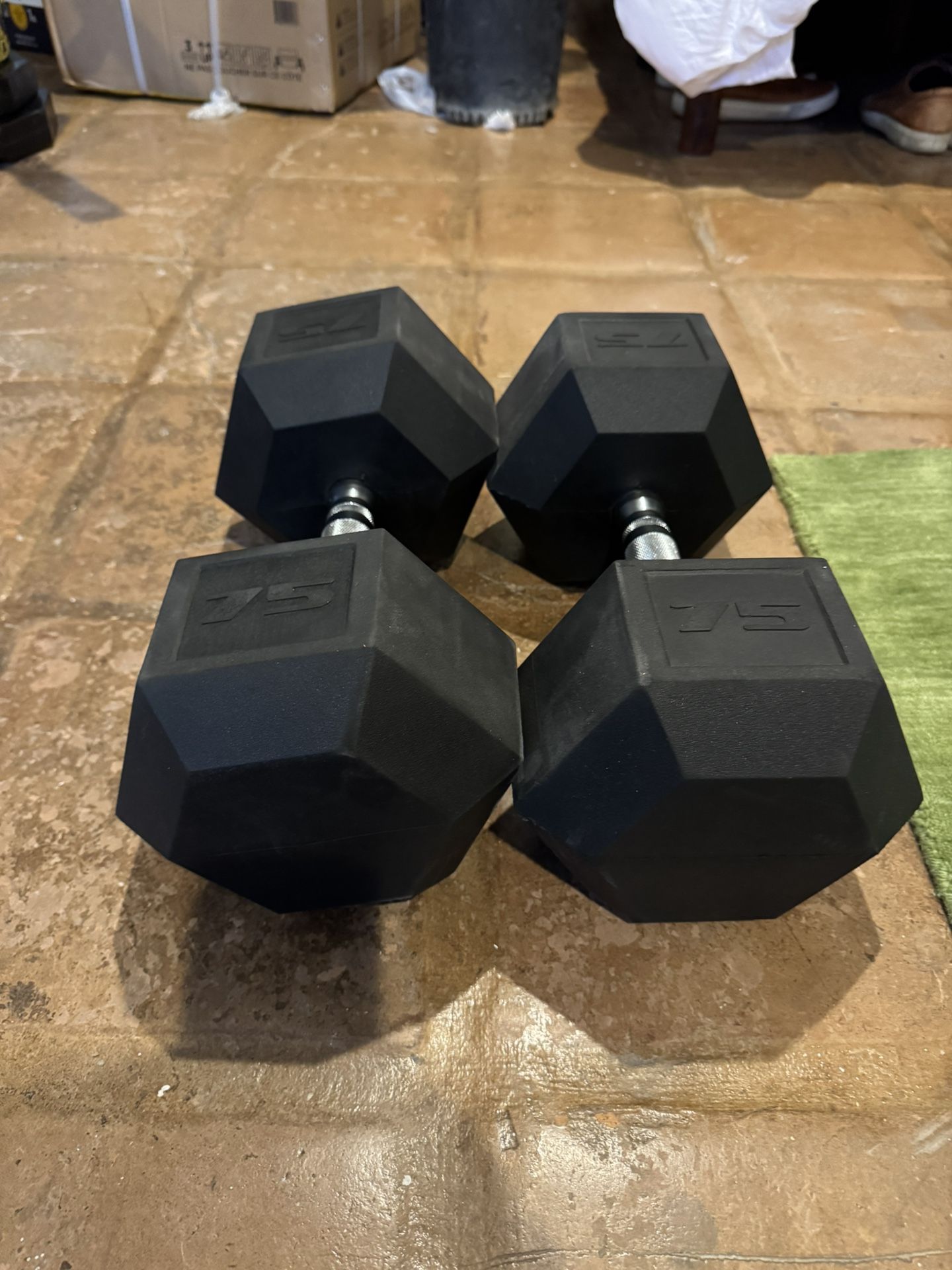 75lb Dumbbells