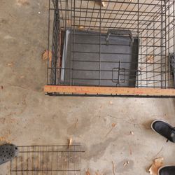 Small Kennel