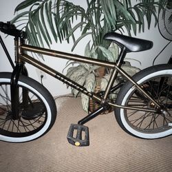 Brand New bike (FitBikeCo.)