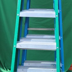 Davidson 6ft Ladder 