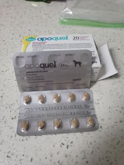 apoquel  two new blister packs