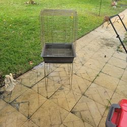 Bird Cage 
