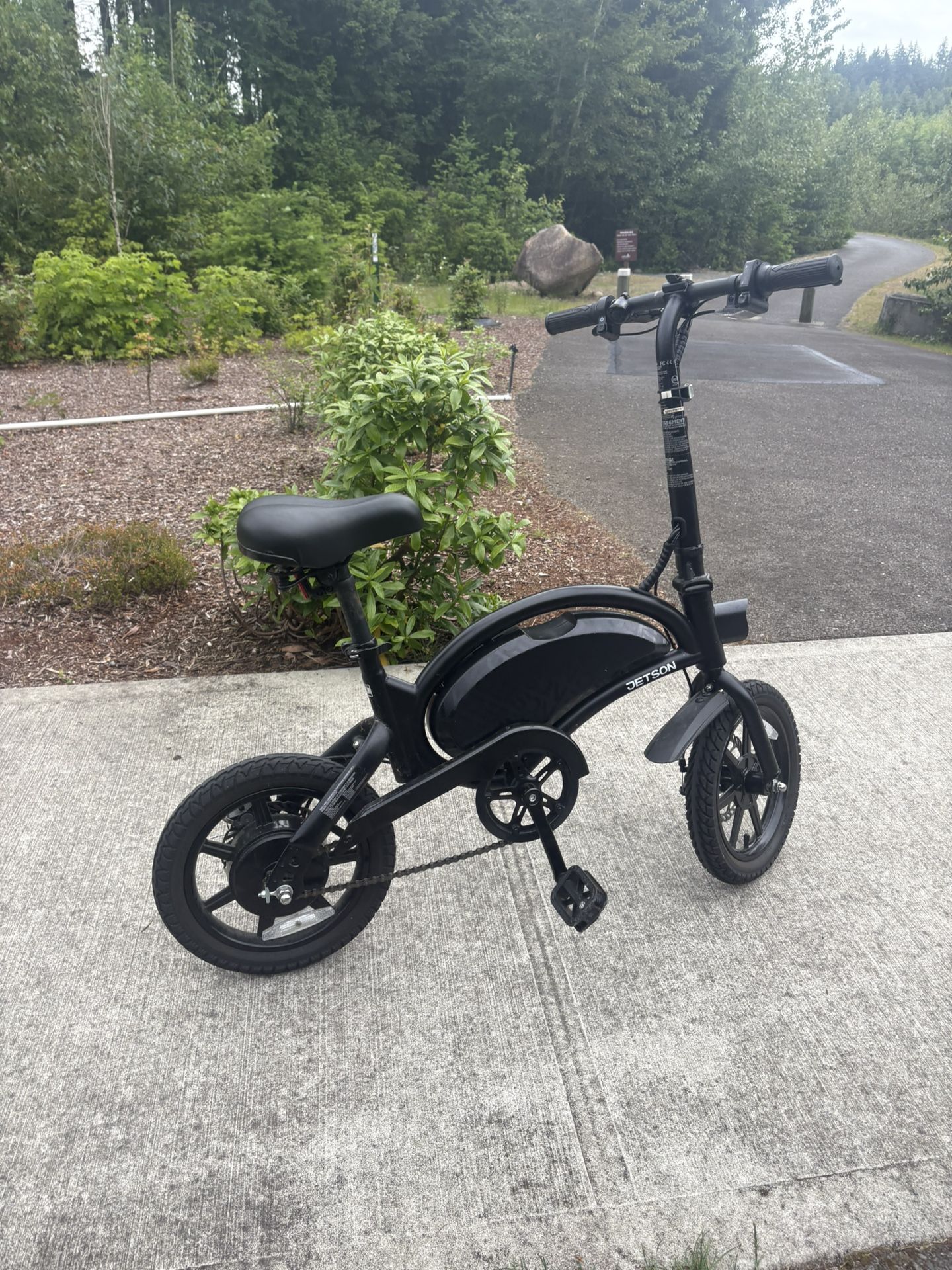 Jetson Bolt Pro Electric Bike (Black)