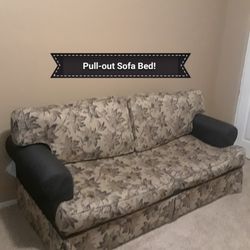 For Sale:  2 Seat Pull-Out Sofa BED