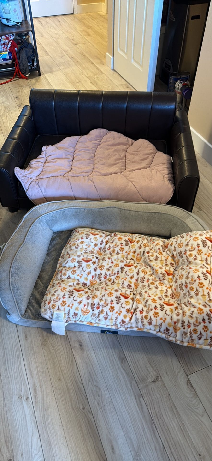 Dog Bed And Couch