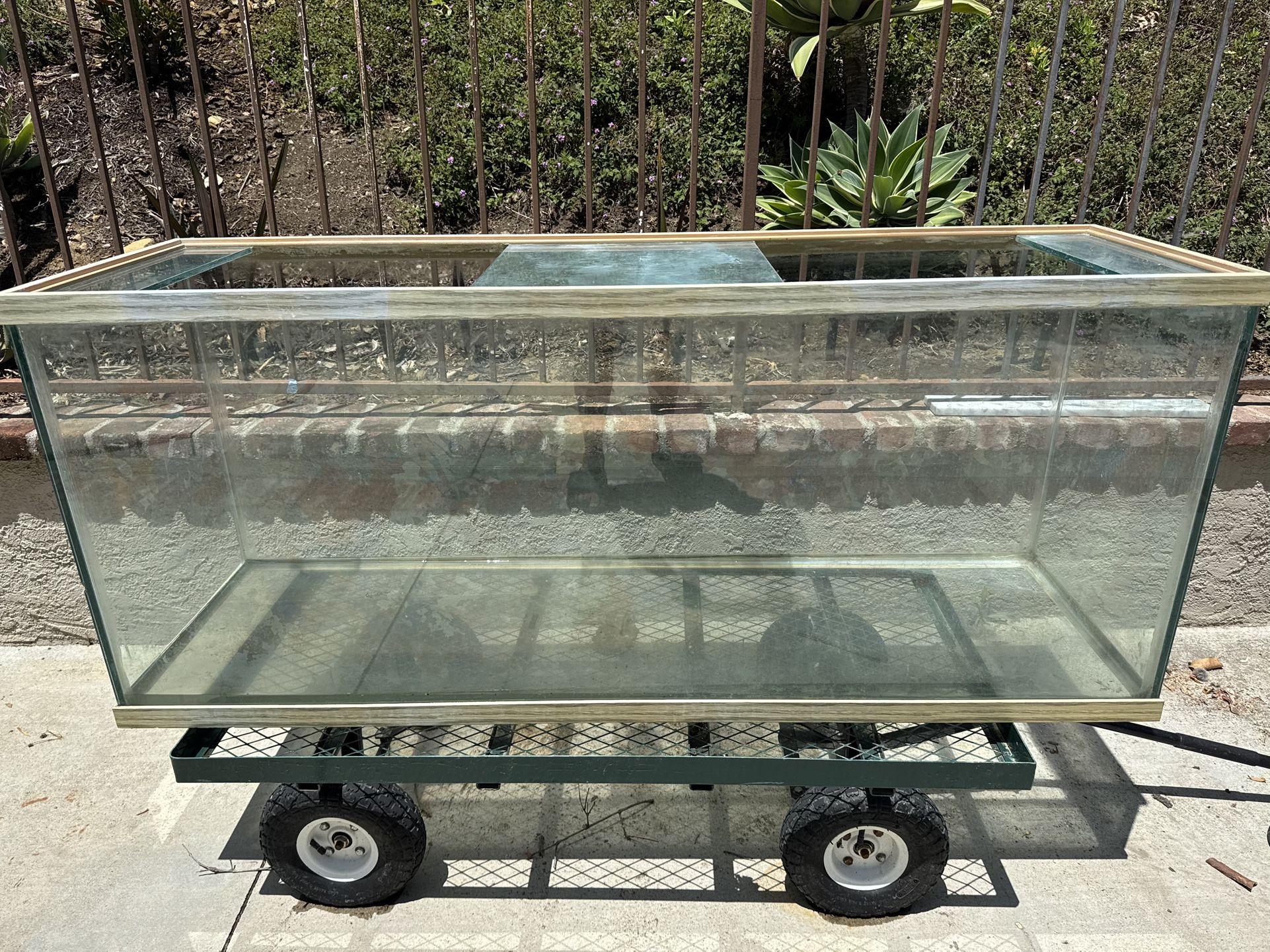 100 Gal Glass Fish Tank Aquarium