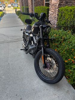 Harley Nightster