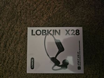Lobkin headphones