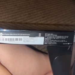 HP Monitor 