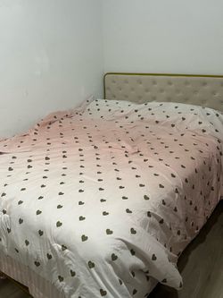Free! Queen Gold and beige bed frame ( mattress not included)
