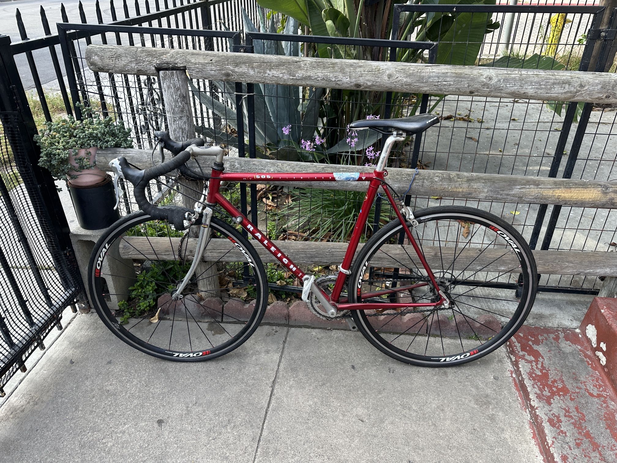 Raleigh Road Bike