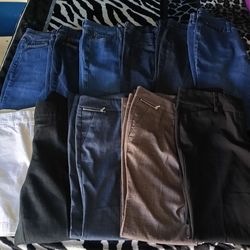 Loft , style&Co, 7th AVE and Lexington pants bundle