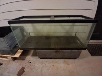 70 gallon fish tank