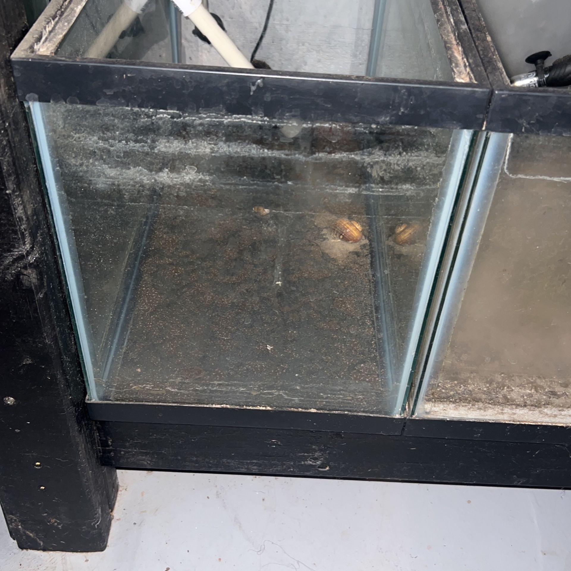 10 Gallon Fish Tanks