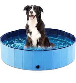 Dog Pool