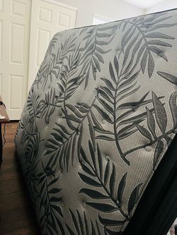 Queen Mattress with Leaf Print Cover