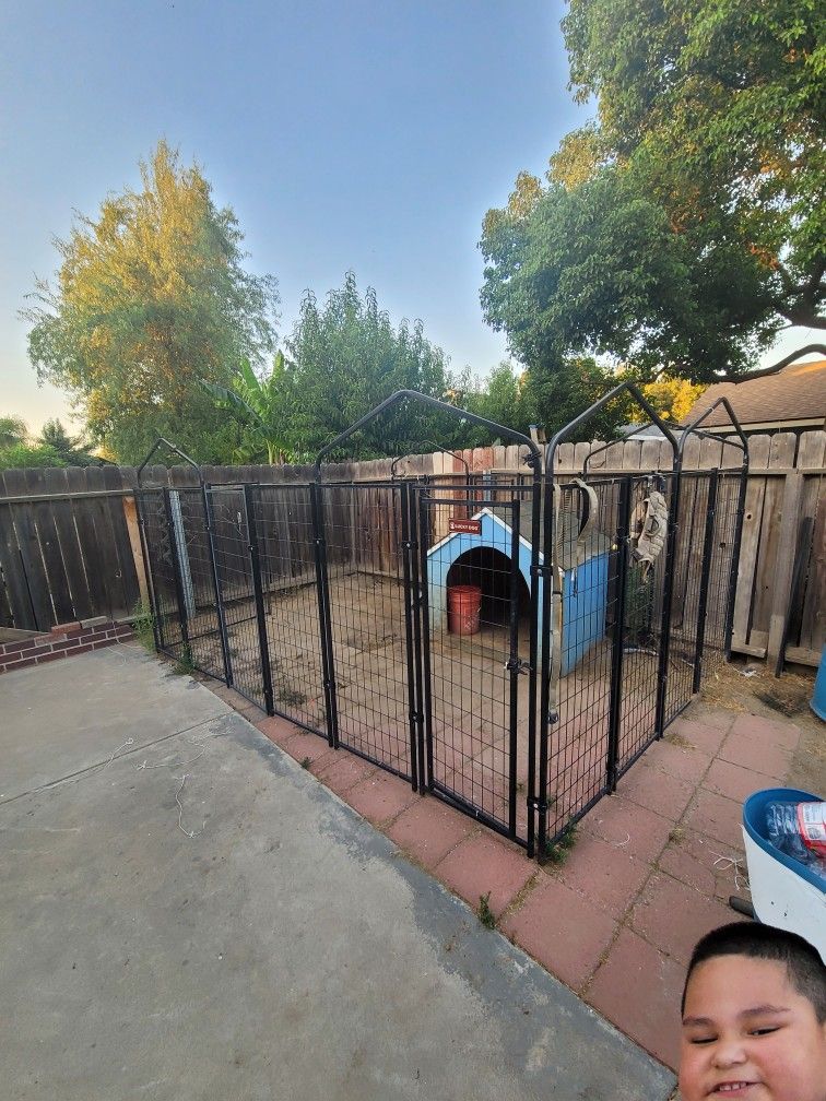 Lucky Dog Kennel