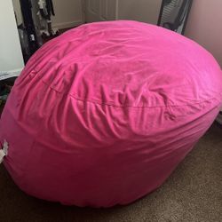 Large Entertainment Bean Bag 