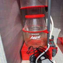Protein Skimmer 