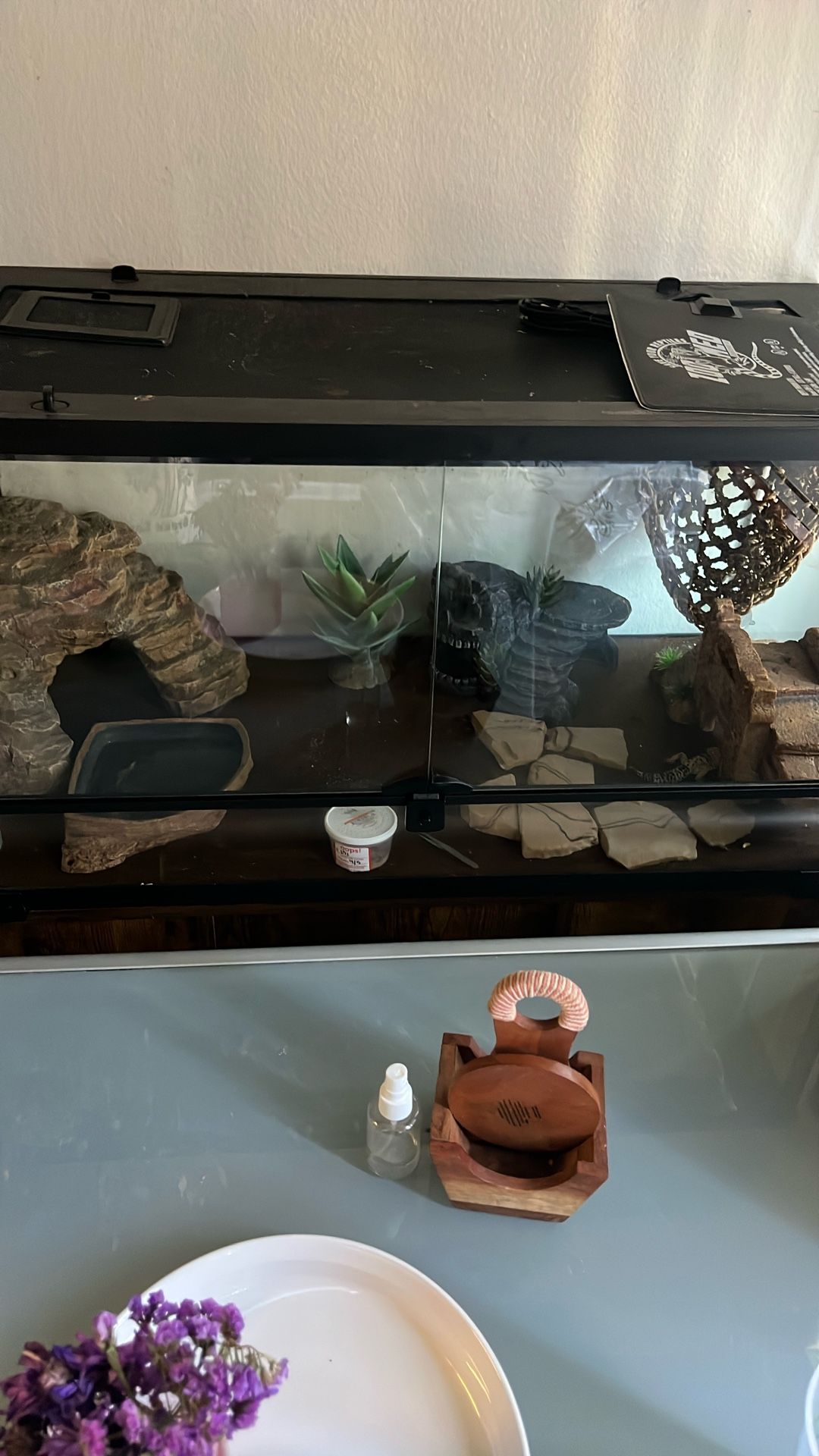 Reptile Habitat