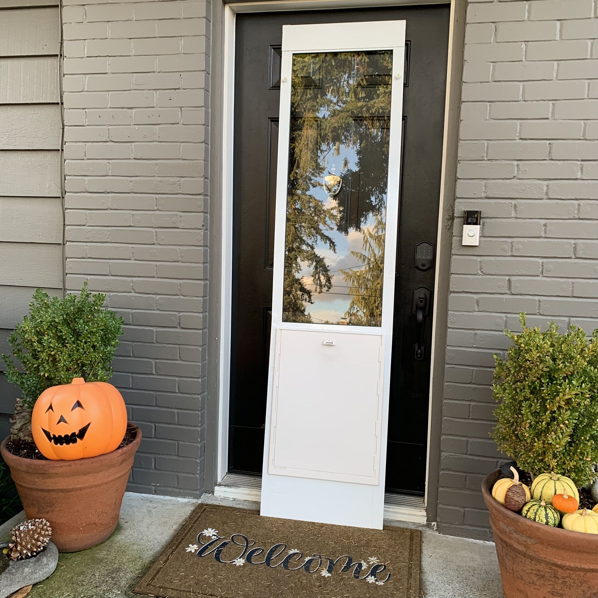 Dog Door For Sliding Glass Door For Large Dogs Ideal Brand New