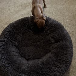 Dog Bed