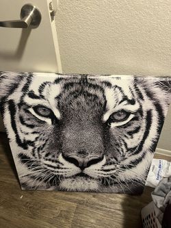 White Tiger Painting