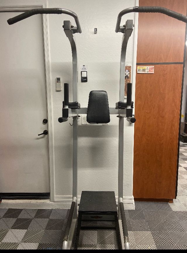 Pull Up And Dip exercise station