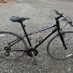 Specialized Vita