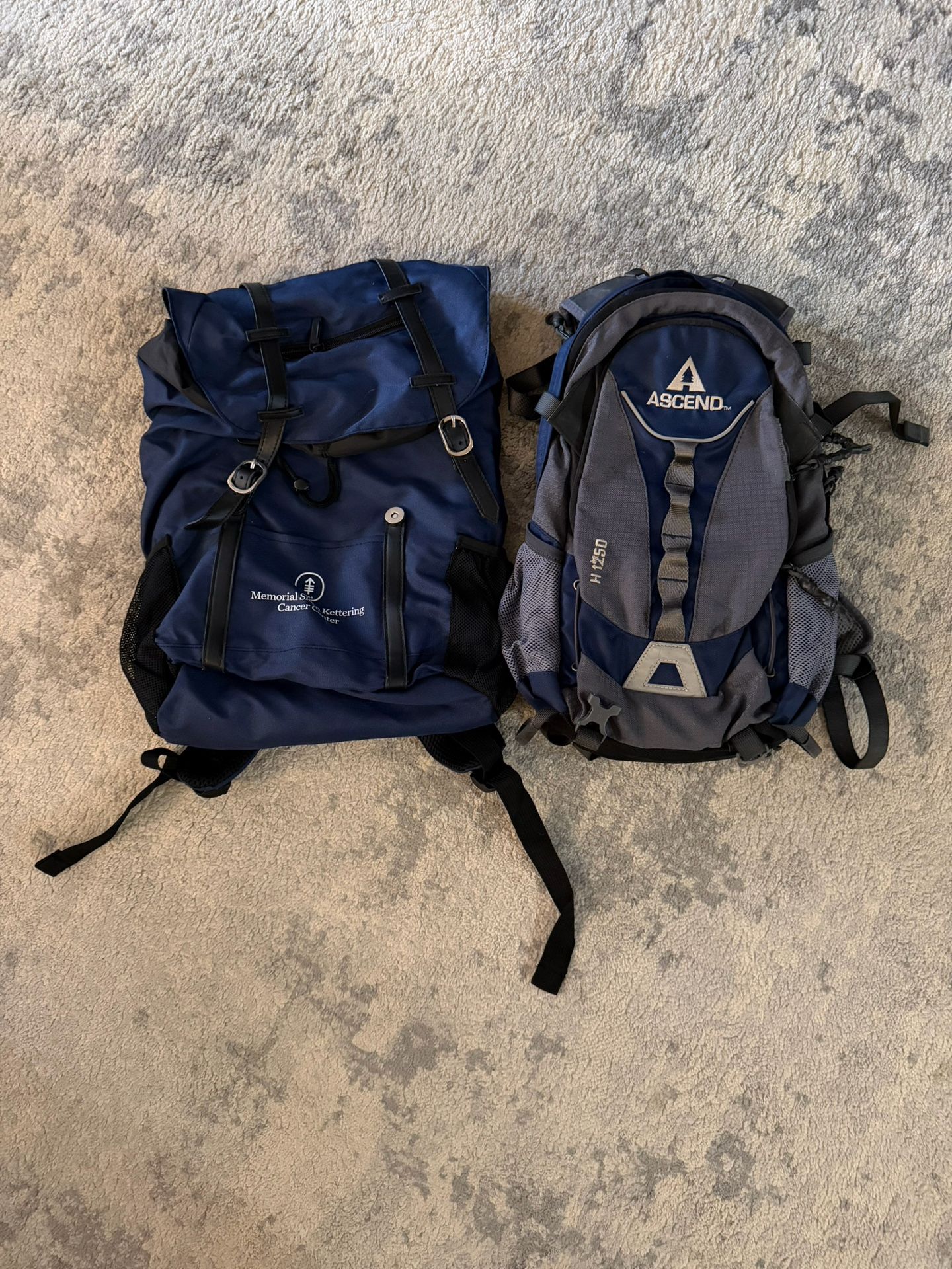 Ascend Camelback With Bladder