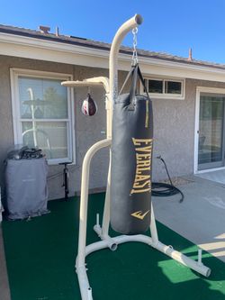 Century boxing with speed Bag and elite Everlast Heavy Bag.