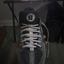 Sabrina’s Basketball shoes